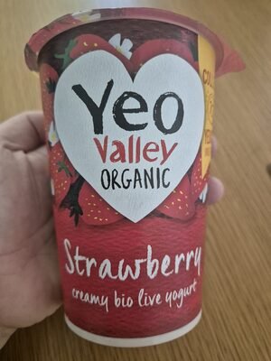 Strawberry Bio Live Yoghurt