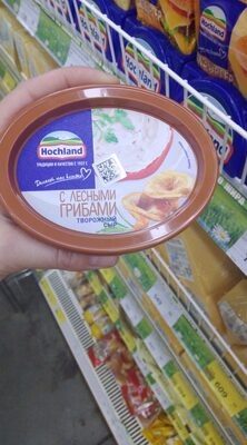 Хохланд с лес грибами