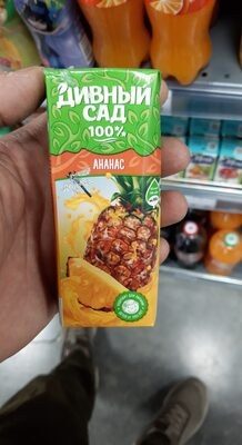 Дивный сад 0.2