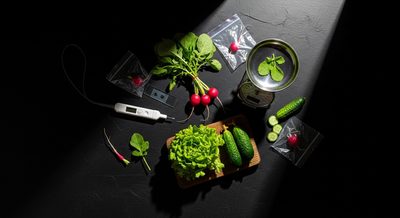 Нитратная бомба на прилавке: что скрывает ранняя белорусская зелень?