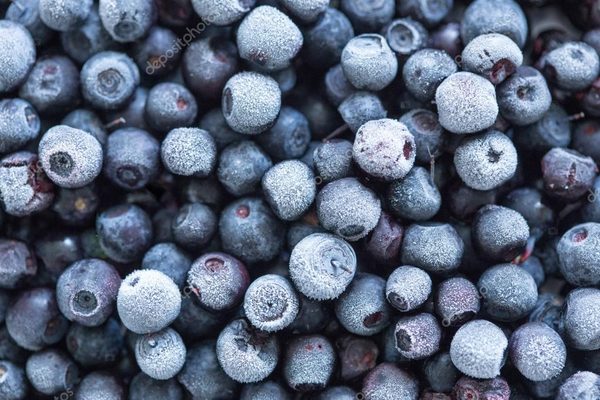 Черника быстрозамороженная 450г