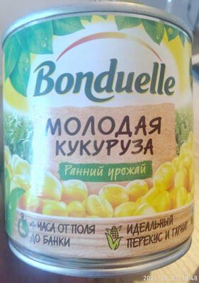Молодая кукуруза