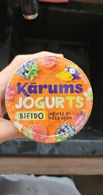 JOGURTS ar meža ogām